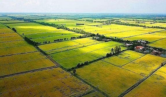 Tiền sử dụng đất tăng cao khi chuyển đổi mục đích sử dụng sang đất ở theo quy định mới xác định hài hòa giá đất tiệm cận với giá thị trường. Tiền sử dụng đất tăng cao khi chuyển đổi mục đích sử dụng sang đất ở theo quy định mới xác định hài hòa giá đất tiệm cận với giá thị trường.