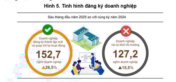 Ảnh: Cục Thống kê. Ảnh: Cục Thống kê.