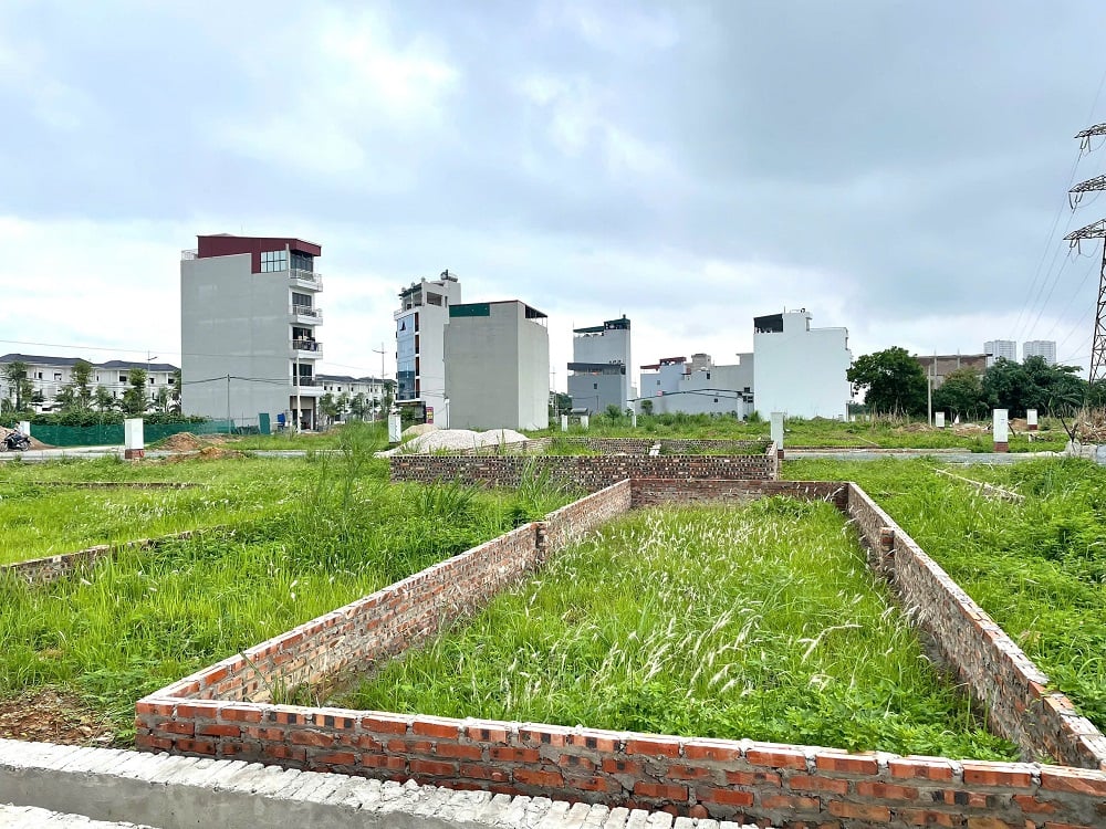 Bảng giá đất: Nguy cơ hợp thức hóa ‘giá ảo’ do sốt đất - Ảnh 2 Bảng giá đất: Nguy cơ hợp thức hóa ‘giá ảo’ do sốt đất - Ảnh 2