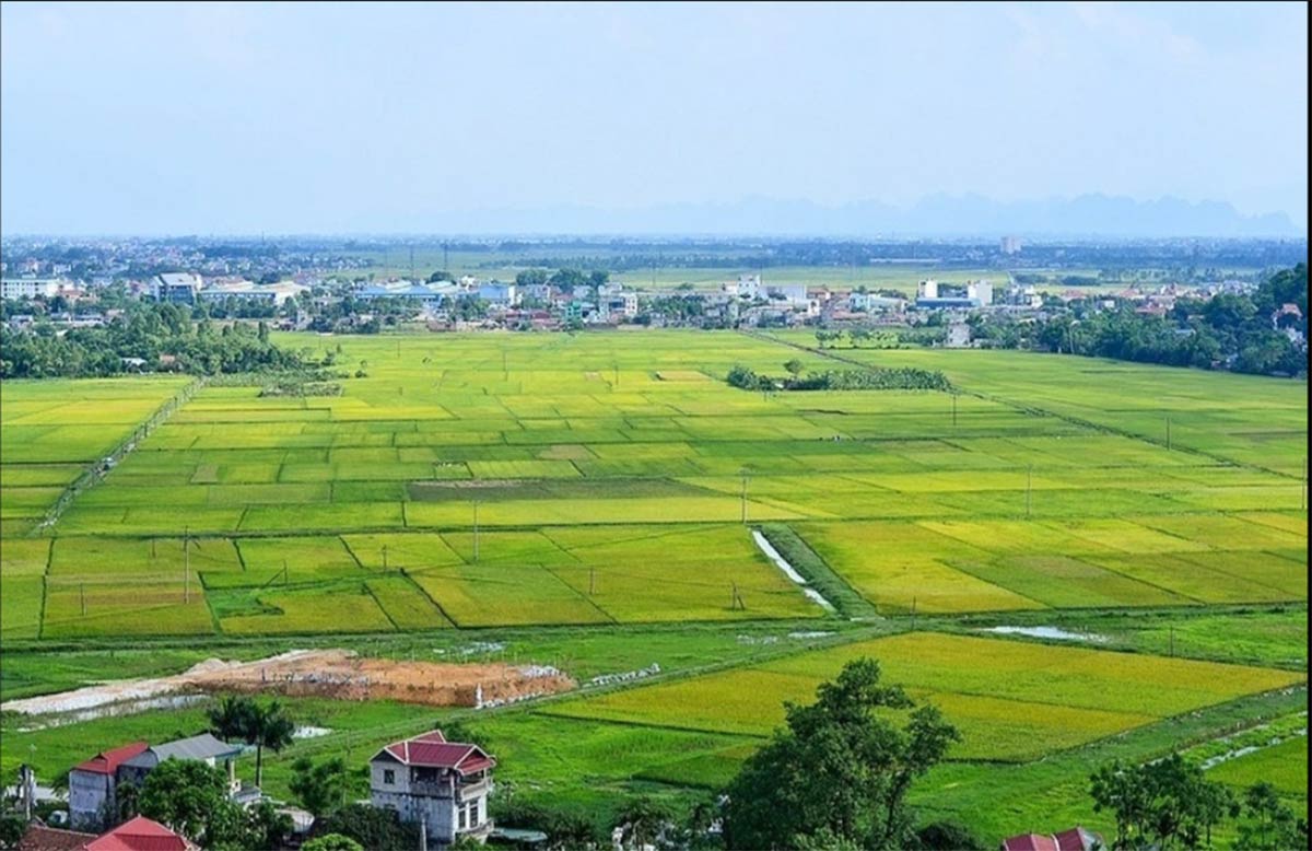 Sẽ rà soát thuế chuyển đổi mục đích sử dụng đất - Ảnh 1 Sẽ rà soát thuế chuyển đổi mục đích sử dụng đất - Ảnh 1
