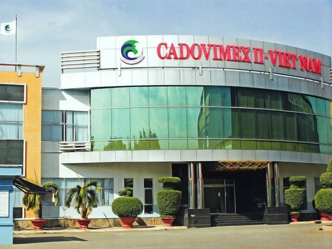 CTCP Chế biến và Xuất nhập khẩu Thủy sản Cadovimex (UPCoM: CAD) đang đối mặt khủng hoảng nghiêm trọng, cổ phiếu giảm sâu còn 500 đồng/cổ phiếu, lỗ lũy kế vượt 1.700 tỷ đồng. CTCP Chế biến và Xuất nhập khẩu Thủy sản Cadovimex (UPCoM: CAD) đang đối mặt khủng hoảng nghiêm trọng, cổ phiếu giảm sâu còn 500 đồng/cổ phiếu, lỗ lũy kế vượt 1.700 tỷ đồng.