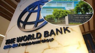Sao Bắc Đẩu: Lãi suy giảm, nợ phải trả gấp 2,5 lần vốn chủ sở hữu - Ảnh 2 Sao Bắc Đẩu: Lãi suy giảm, nợ phải trả gấp 2,5 lần vốn chủ sở hữu - Ảnh 2