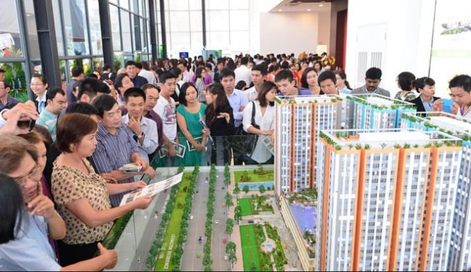 Bộ Tư pháp đánh giá một số nhiệm vụ, quyền hạn của Trung tâm giao dịch bất động sản và quyền sử dụng đất chưa phù hợp. Bộ Tư pháp đánh giá một số nhiệm vụ, quyền hạn của Trung tâm giao dịch bất động sản và quyền sử dụng đất chưa phù hợp.