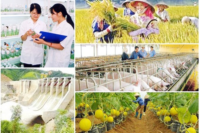 Hình minh họa Hình minh họa 