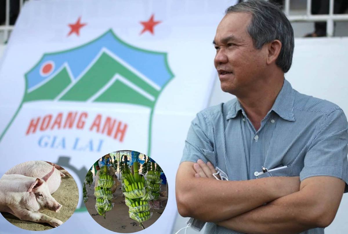 Hoàng Anh Gia Lai của bầu Đức hết lỗ lũy kế - Ảnh 1 Hoàng Anh Gia Lai của bầu Đức hết lỗ lũy kế - Ảnh 1