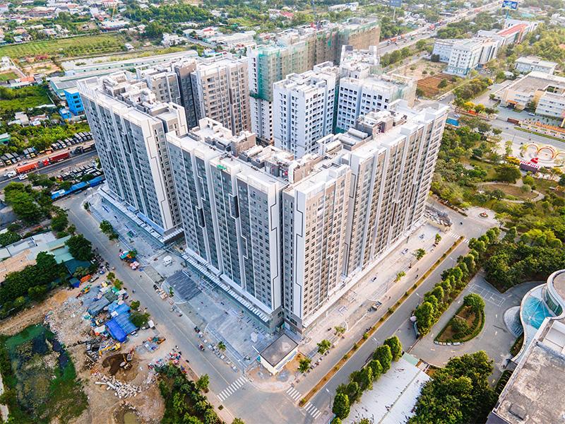 An Gia có đang ‘làm xiếc’ với dòng tiền? - Ảnh 2 An Gia có đang ‘làm xiếc’ với dòng tiền? - Ảnh 2