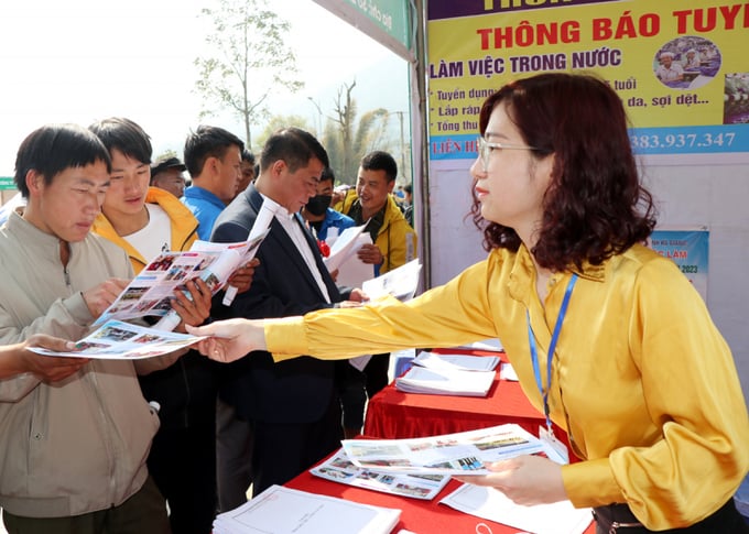 (Ảnh minh họa) (Ảnh minh họa)