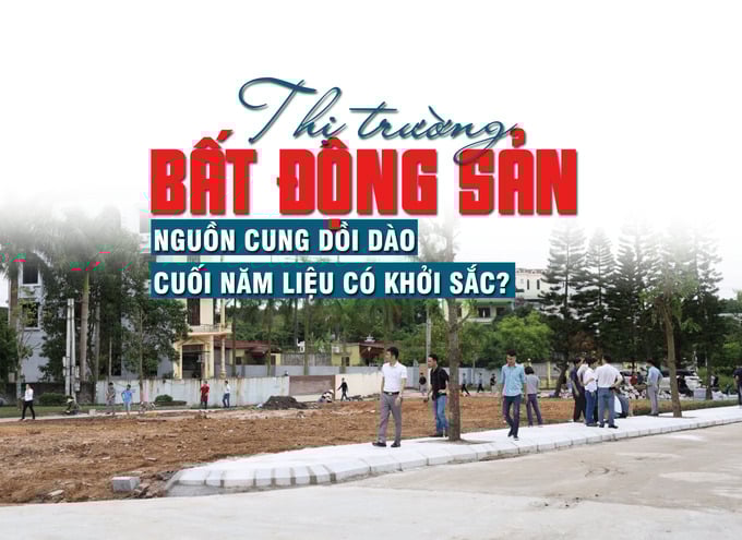 Thị trường bất động sản: Nguồn cung dồi dào, cuối năm liệu có khởi sắc - Ảnh 1 Thị trường bất động sản: Nguồn cung dồi dào, cuối năm liệu có khởi sắc - Ảnh 1