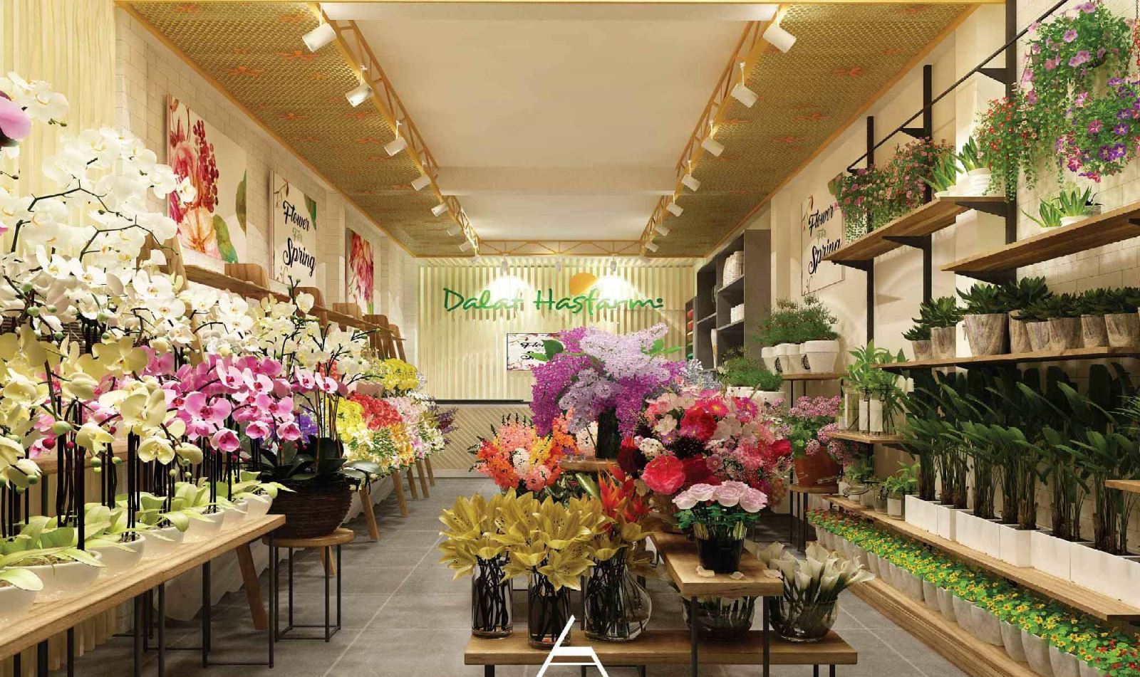 Dalat Hasfarm thâu tóm công ty hoa của Úc, thành DN hoa tươi top đầu thế giới - Ảnh 1 Dalat Hasfarm thâu tóm công ty hoa của Úc, thành DN hoa tươi top đầu thế giới - Ảnh 1