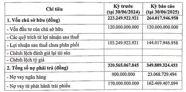 Một vài chỉ tiêu tài chính của Bkav Pro sau 6 tháng đầu năm 2025. Một vài chỉ tiêu tài chính của Bkav Pro sau 6 tháng đầu năm 2025.