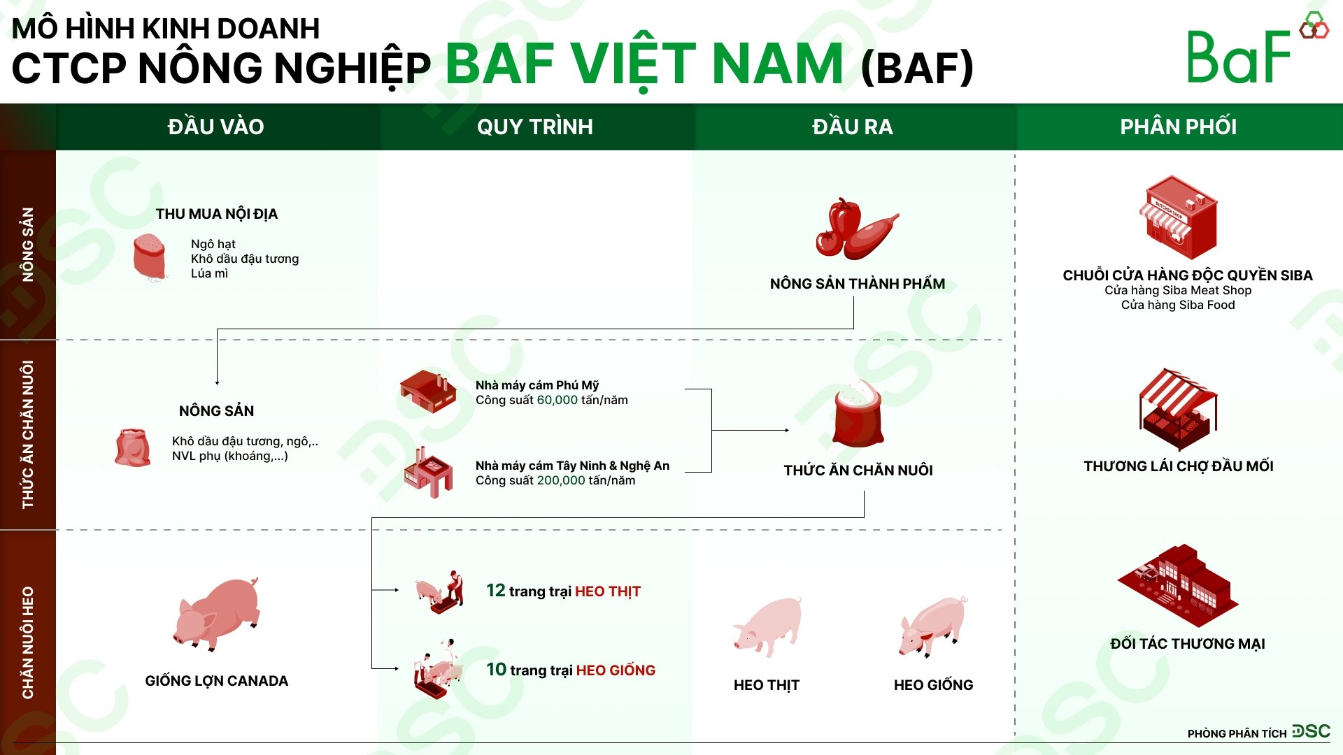 Mô hình kinh doanh của BAF. Nguồn: Công ty Chứng khoán DSC Mô hình kinh doanh của BAF. Nguồn: Công ty Chứng khoán DSC 