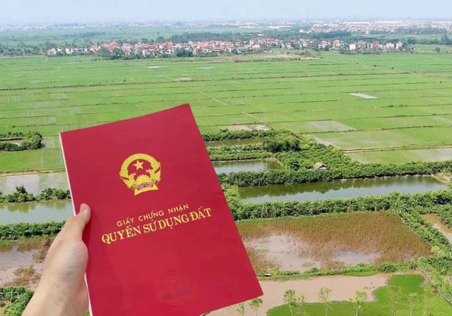 Đề xuất phương án gỡ vướng chuyển đổi đất nông nghiệp - Ảnh 1 Đề xuất phương án gỡ vướng chuyển đổi đất nông nghiệp - Ảnh 1