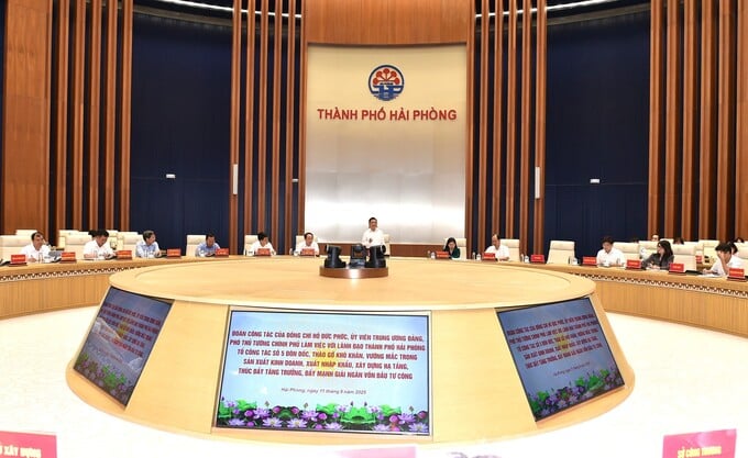 Phó thủ tướng Hồ Đức Phớc làm việc với TP Hải Phòng. Phó thủ tướng Hồ Đức Phớc làm việc với TP Hải Phòng.