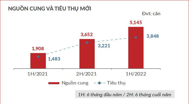 Nửa đầu 2022: Bất động sản nghỉ dưỡng tăng trưởng ổn định  - Ảnh 3