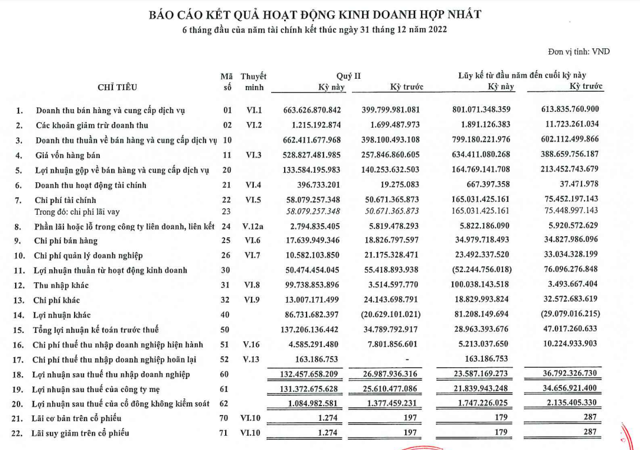 B&aacute;o c&aacute;o t&agrave;i ch&iacute;nh qu&yacute; II của TDC