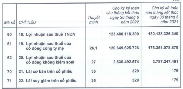 Lợi nhuận sau thuế giảm, chỉ đạt 123.5 tỷ đồng ((Nguồn: BCTC TTC Land)