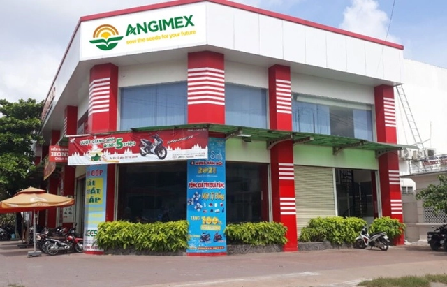 Một nhà đầu tư cá nhân trở thành cổ đông lớn của Angimex (AGM).