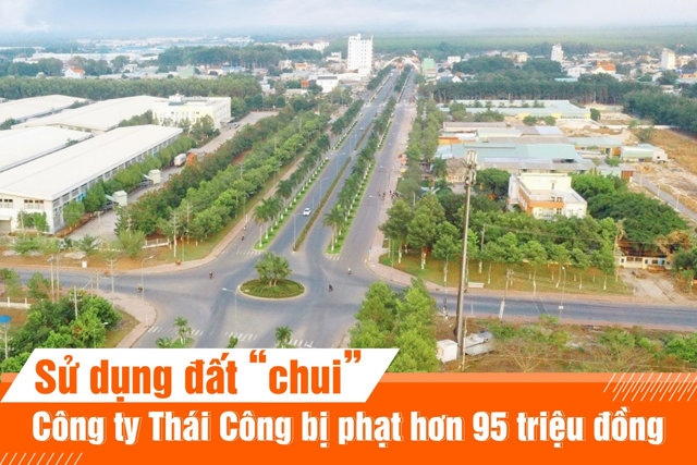 Sử dụng đất “chui”, công ty Thái Công bị phạt hơn 95 triệu đồng - Ảnh 1