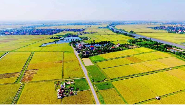 PGS-TS Nguyễn Quang Tuyến, Trưởng khoa Pháp luật kinh tế, Đại học Luật Hà Nội nhấn mạnh mô hình Ngân hàng nông nghiệp sẽ thúc đẩy quá trình tích tụ, tập trung ruộng đất, góp phần khắc phục tình trạng bỏ hoang đất nông nghiệp.