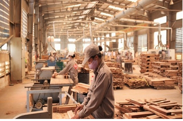 Tập đoàn Hà Lam muốn làm nhà máy chế biến gỗ hơn 1.000 tỷ đồng tại Quảng Trị (Ảnh minh hoạ)