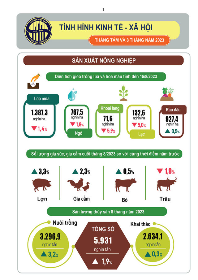 {Infographic} Tình hình kinh tế – xã hội tháng 8 và 8 tháng năm 2023 - Ảnh 1