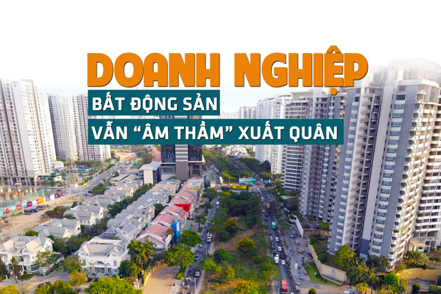 Nhiều doanh nghiệp BĐS vẫn “âm thầm” triển khai dự án - Ảnh 1