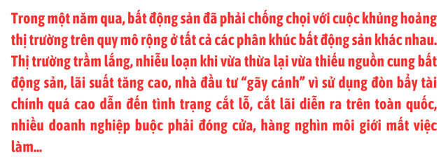 Nhìn lại một năm đầy biến động của thị trường bất động sản năm 2023 - Ảnh 2