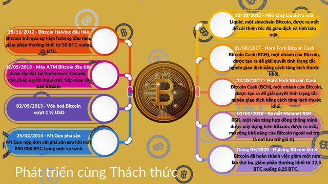 Bitcoin: Hành trình 'thần tốc' tới mốc 100.000 USD - Ảnh 5