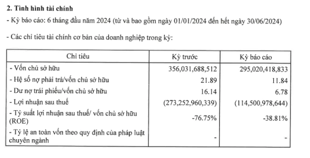 T&igrave;nh h&igrave;nh t&agrave;i ch&iacute;nh 6 th&aacute;ng đầu năm 2024 của Setra