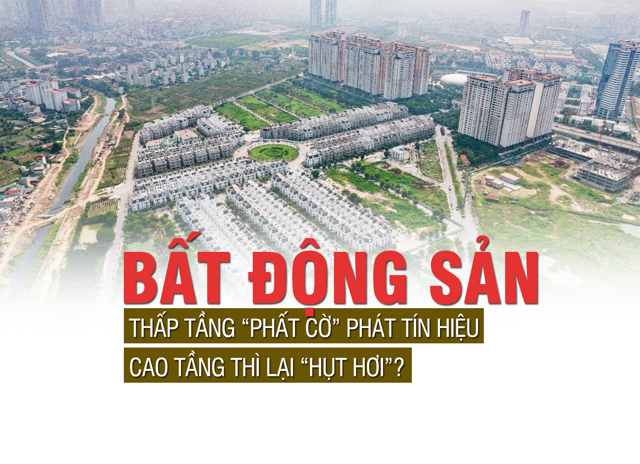 Bất động sản thấp tầng "phất cờ" phát tín hiệu, cao tầng thì lại “hụt hơi”? - Ảnh 1