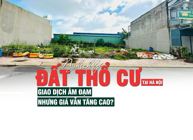Nghịch lý đất thổ cư tại Hà Nội: Giao dịch ảm đạm nhưng giá vẫn tăng cao? - Ảnh 1