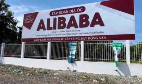 Điều tra sai phạm quản lý đất địa ốc Alibaba thế nào? - Ảnh 1