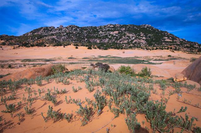 Vẻ đẹp của “tiểu sa mạc Sahara” phiên bản Việt ở mũi Dinh - Ảnh 4