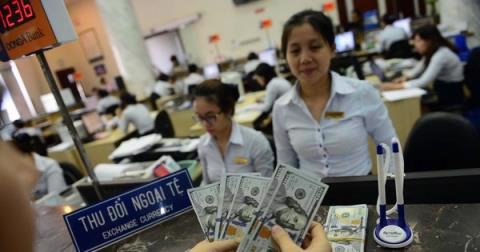 Việt Nam không hạ giá tiền tệ - Ảnh 1