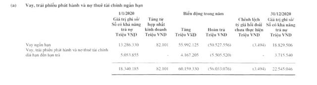 Tăng phát hành trái phiếu, Masan Group vay nợ tài chính hơn 60.000 tỷ đồng - Ảnh 2