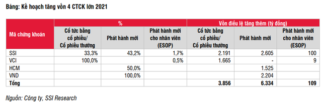 Những mã cổ phiếu hấp dẫn đáng đầu tư dài hạn - Ảnh 3