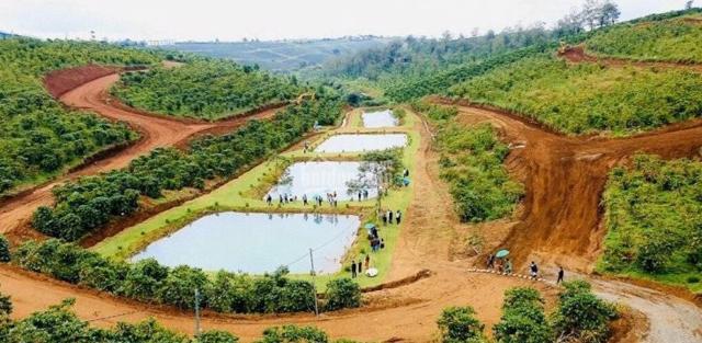 Lâm Đồng: Những quy định mới để quản lý tình trạng phân lô, bán nền núp bóng chiêu "hiến đất" làm đường - Ảnh 1