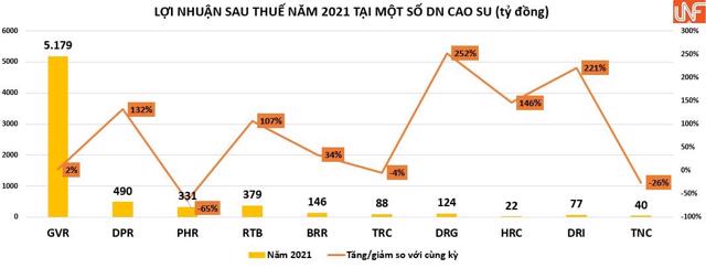 Lợi nhuận doanh nghiệp cao su: Quý 4 đi lùi, cả năm vẫn lãi lớn - Ảnh 2