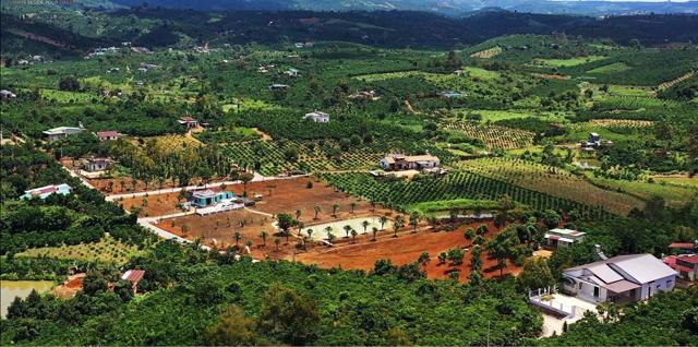 Thành viên Sam Holdings đề xuất đầu tư dự án trên khu đất hơn 1.000 ha tại Lâm Đồng - Ảnh 1
