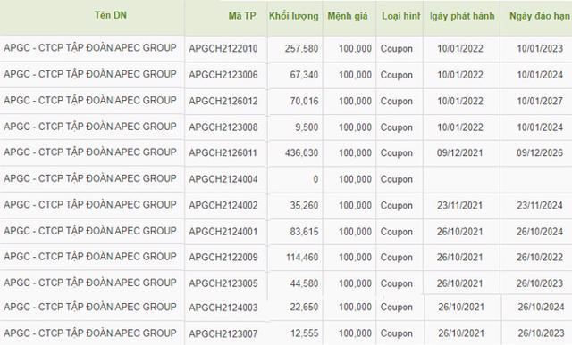 Soi trái phiếu doanh nghiệp: Bất ngờ với tần suất phát hành của APEC GROUP - Ảnh 1