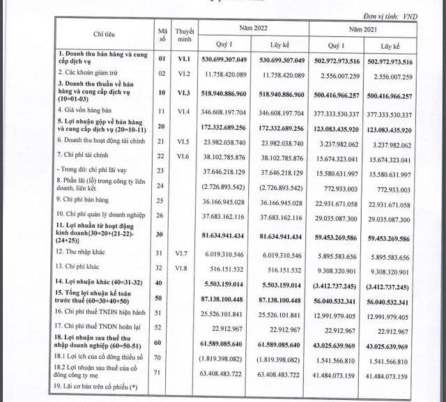 Một số chỉ tiêu tài chính của DIC Corp (Nguồn: BCTC Hợp nhất quý I/2022 của DIG).  