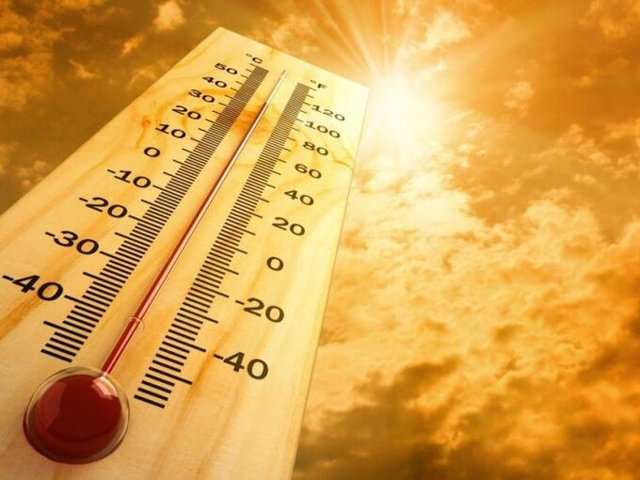 Nhận biết và cách “đo” độ nóng của sốt đất - Ảnh 1