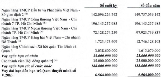 Các chủ nợ Vietcombank, BIDV, Vietinbank, Chứng khoán VPS mắc kẹt bao nhiêu tiền ở công ty thua lỗ nặng Vietravel? - Ảnh 2