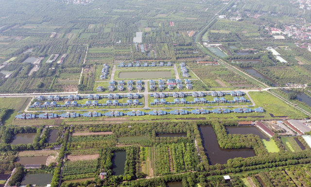 Hàng trăm căn biệt thự bỏ hoang giữa cánh đồng ở Khoái Châu, Hưng Yên - Ảnh 1