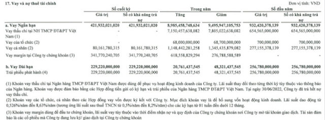 Đổ 1.100 tỷ đồng vào cổ phiếu HPG, Trí Việt (TVC) đã tạm lỗ gần 300 tỷ đồng - Ảnh 6