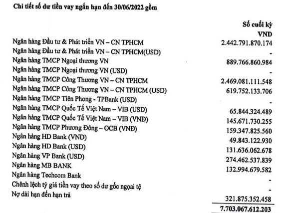 Nợ nần chồng chất, Pomina còn muốn thế chấp tài sản tại KCN Sóng Thần vay BIDV thêm 700 tỷ đồng - Ảnh 2