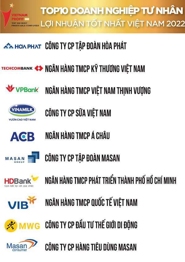 Lộ diện 10 doanh nghiệp lợi nhuận tốt nhất Việt Nam 2022 - Ảnh 2