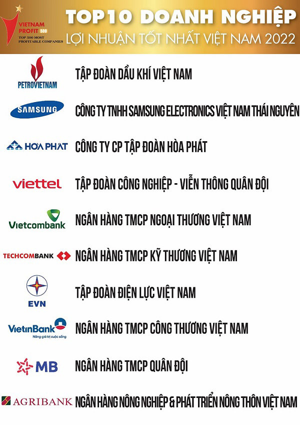 Lộ diện 10 doanh nghiệp lợi nhuận tốt nhất Việt Nam 2022 - Ảnh 1