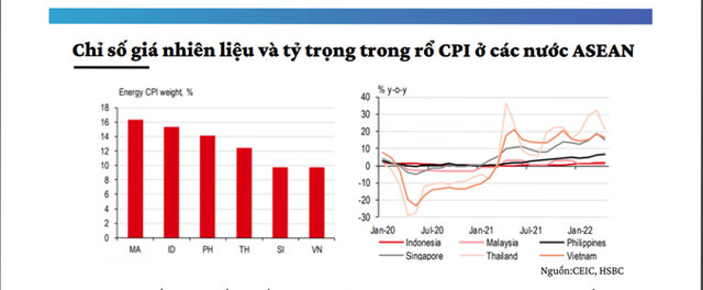 Bức tranh phục hồi kinh tế và tăng trưởng của Việt Nam - Ảnh 2