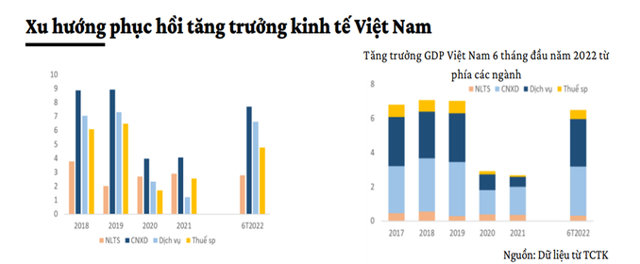 Bức tranh phục hồi kinh tế và tăng trưởng của Việt Nam - Ảnh 3